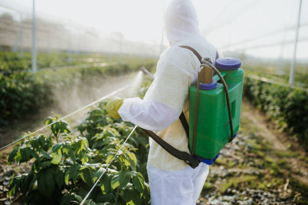 Best Pest Control Treatment  in Treasure Island, FL